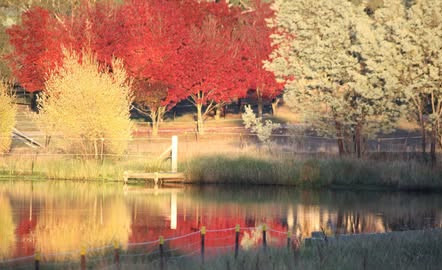 Dam_in_Autumn.jpg